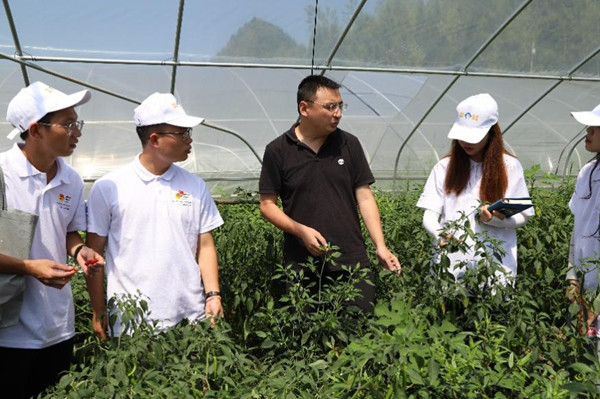 实践团参观蔬菜大棚。Beat365官方网站供图
