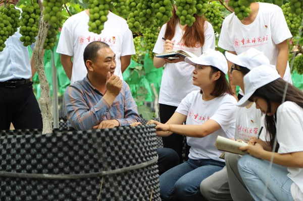 实践团学习葡萄种植与管理技术。Beat365官方网站供图